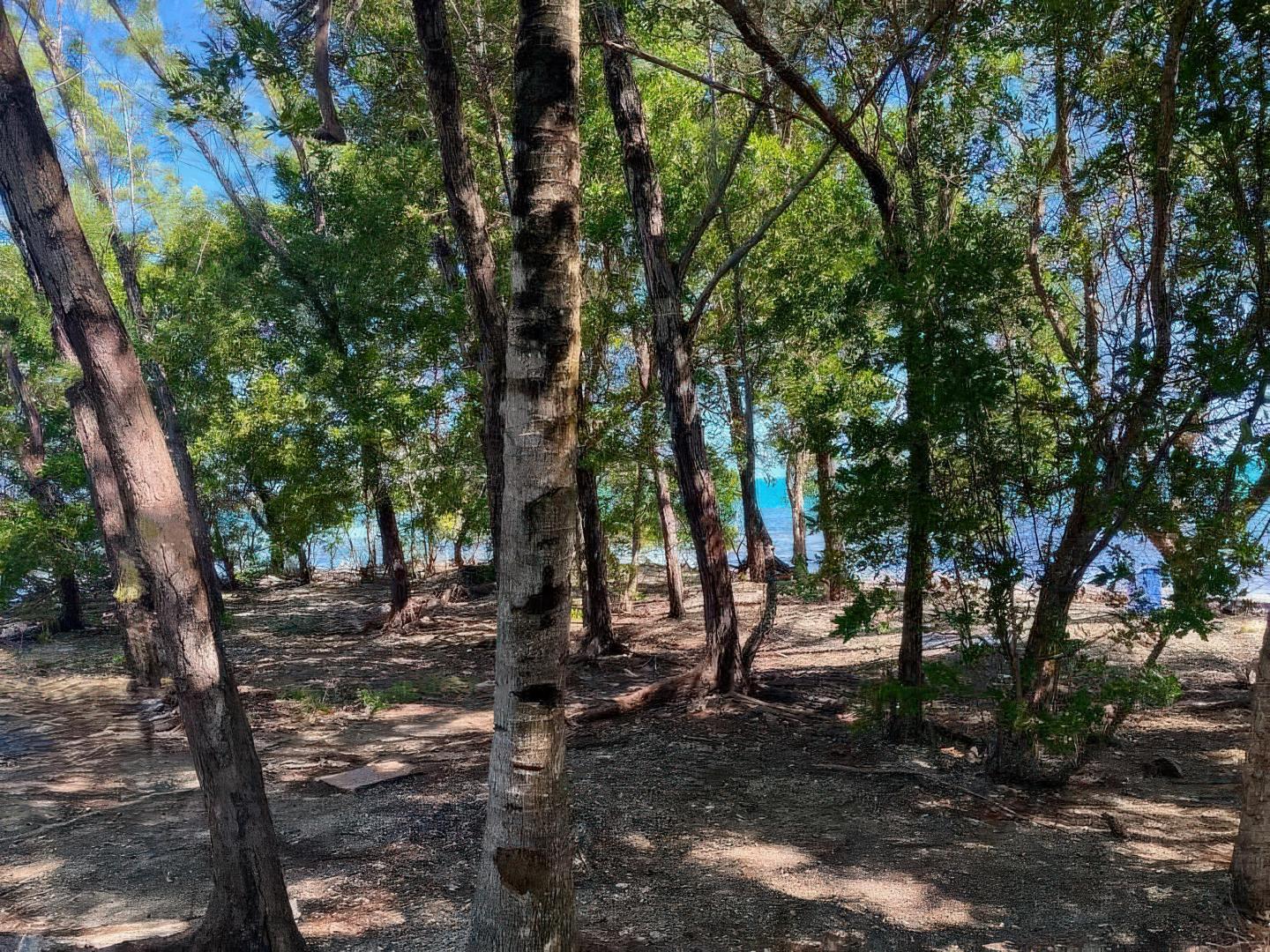 Bikini Caye – Private island in Belize, Central America